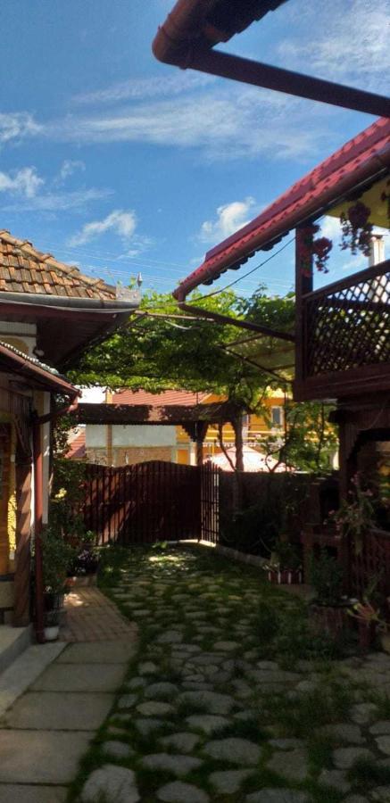 CîrţişoaraCasa Boierului Imbri别墅 外观 照片