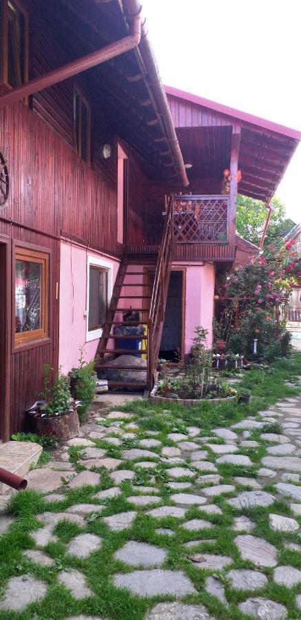 CîrţişoaraCasa Boierului Imbri别墅 外观 照片