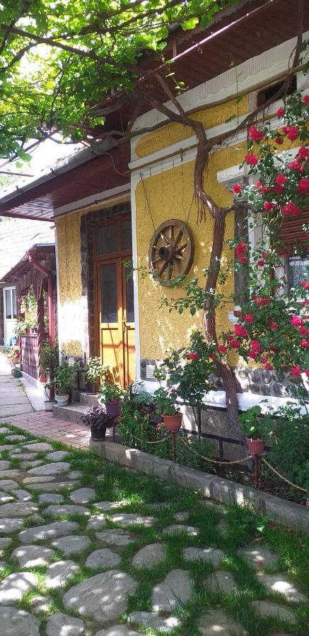 CîrţişoaraCasa Boierului Imbri别墅 外观 照片